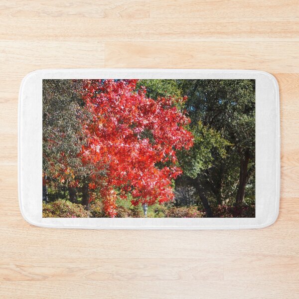 Item preview, Vivid Red Maple Tree in Autumn designed and sold by Cynthia48.