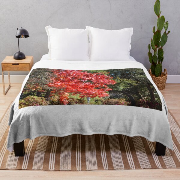 Item preview, Vivid Red Maple Tree in Autumn designed and sold by Cynthia48.