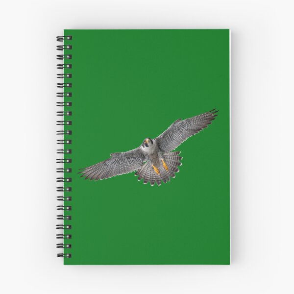 Item preview, Peregrine falcon in flight designed and sold by YoshiArtDesign.