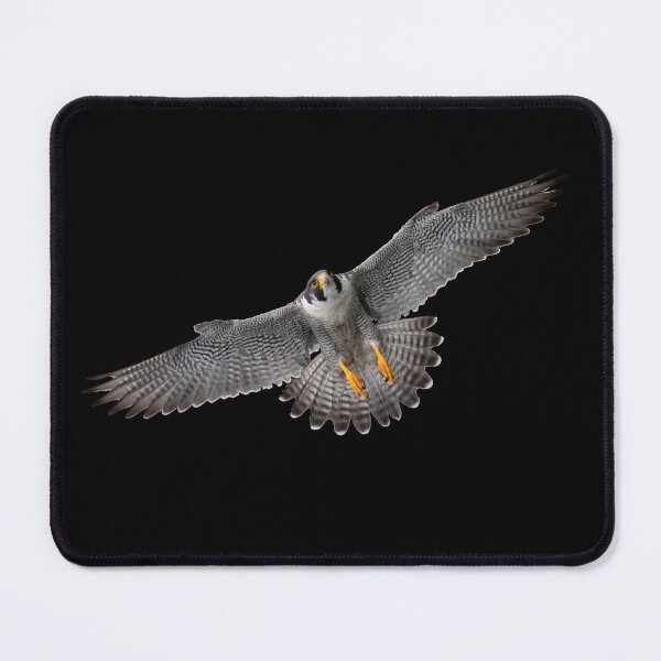 Item preview, Peregrine falcon in flight designed and sold by YoshiArtDesign.