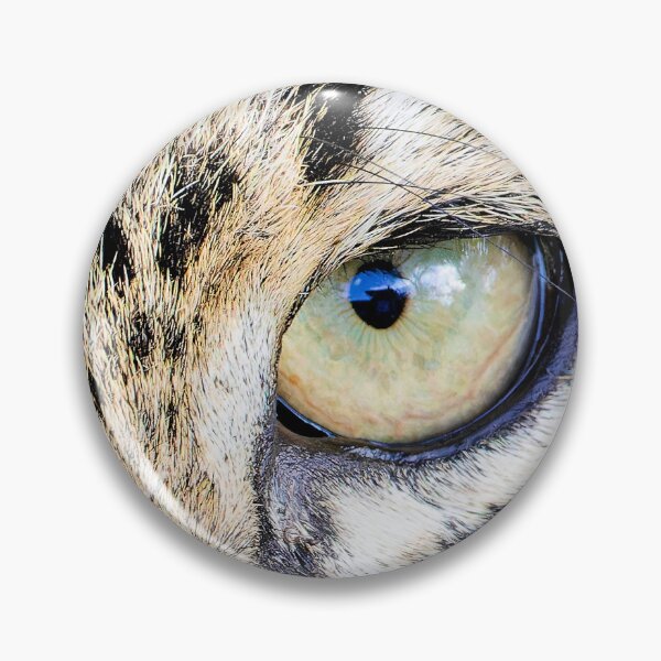 Item preview, Cat's eyes designed and sold by Yves Roumazeilles (Wild Focus).