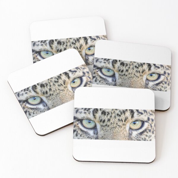 Item preview, Cat's eyes designed and sold by Yves Roumazeilles (Wild Focus).