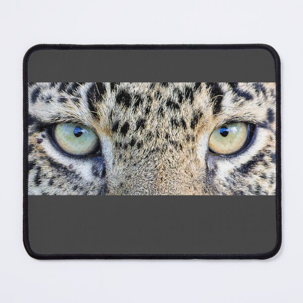Item preview, Cat's eyes designed and sold by Yves Roumazeilles (Wild Focus).
