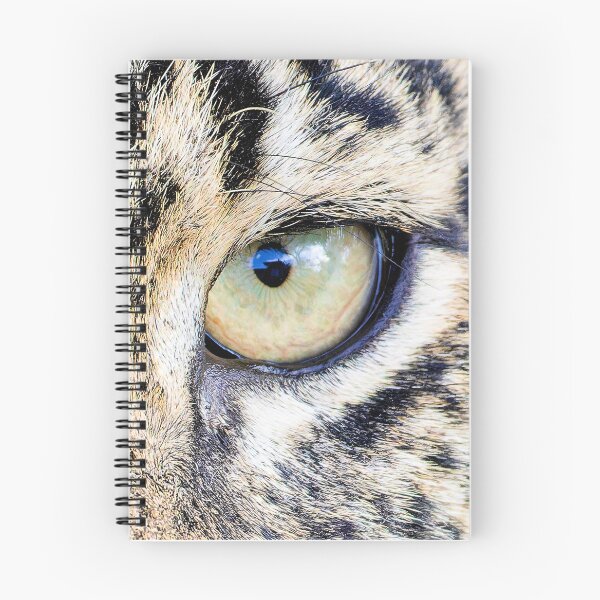 Item preview, Cat's eyes designed and sold by Yves Roumazeilles (Wild Focus).