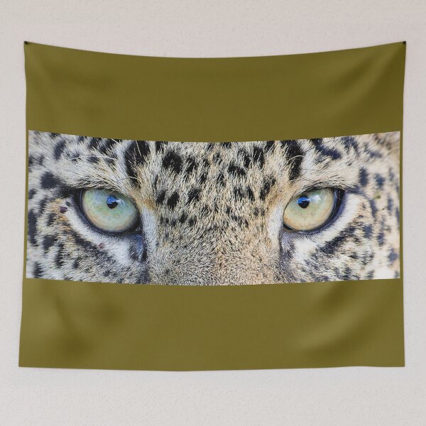 Item preview, Cat's eyes designed and sold by Yves Roumazeilles (Wild Focus).