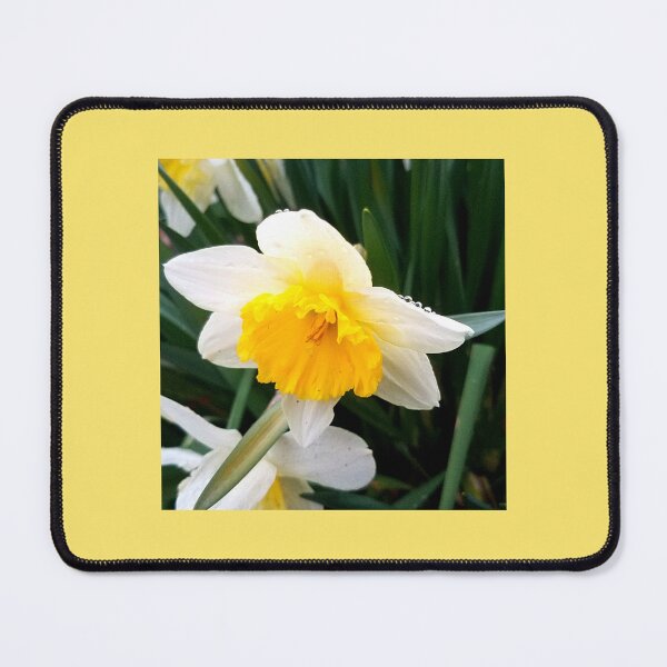 Item preview, Dewy Daffodil designed and sold by BeautyInQuietPlaces.