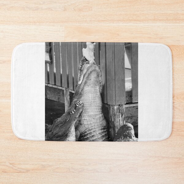 Item preview, Caimanes alimentándose en el muelle designed and sold by MercerImages.