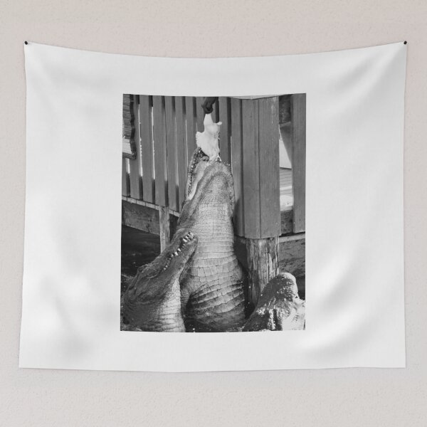 Item preview, Alligators Feeding at Dock designed and sold by MercerImages.