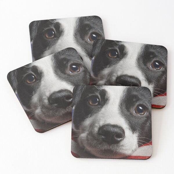 Item preview, my doggy loves me and america designed and sold by tunio_fashions.