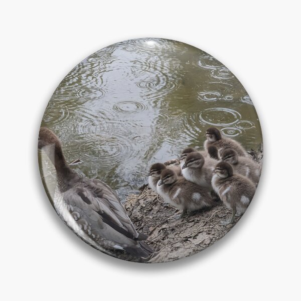 Item preview, Adorable Duck Family Huddles Together in the Rain ?️ Nature's Cutest Moment! designed and sold by Photogenic Snap.