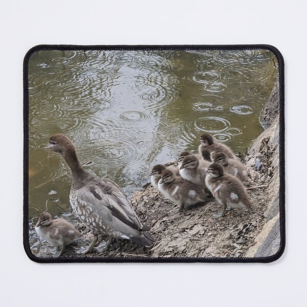 Item preview, Adorable Duck Family Huddles Together in the Rain ?️ Nature's Cutest Moment! designed and sold by Photogenic Snap.