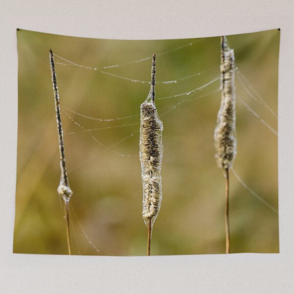 Item preview, Light paggage 1 designed and sold by Jouko Lehto Photography.