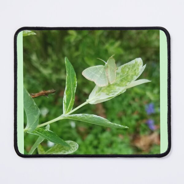 Item preview, Green Moth designed and sold by GlimpseBeauty11.