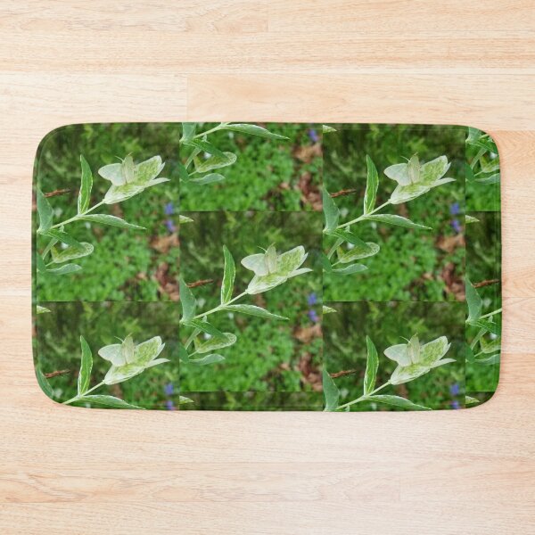Item preview, Green Moth designed and sold by GlimpseBeauty11.