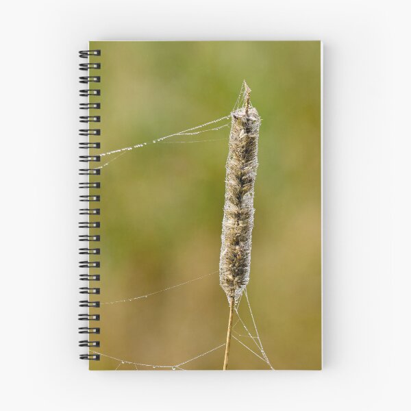 Item preview, Light paggage 2 designed and sold by Jouko Lehto Photography.