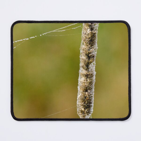 Item preview, Light paggage 2 designed and sold by Jouko Lehto Photography.