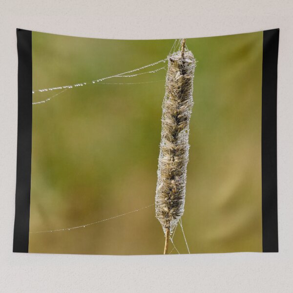 Item preview, Light paggage 2 designed and sold by Jouko Lehto Photography.