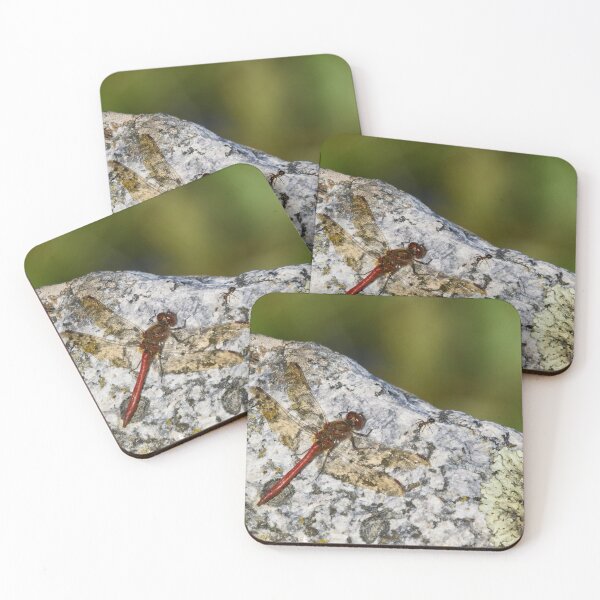 Item preview, Meeting with an ant. Vagrant darter designed and sold by Jouko Lehto Photography.