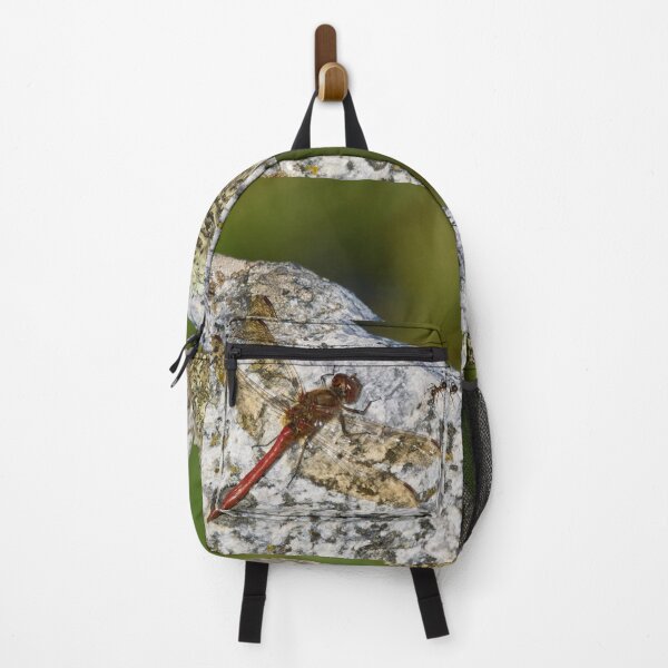 Item preview, Meeting with an ant. Vagrant darter designed and sold by Jouko Lehto Photography.
