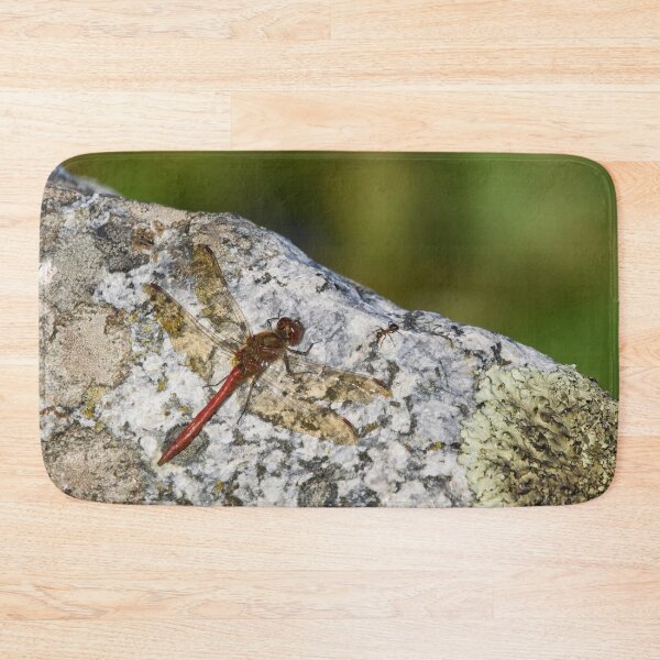 Item preview, Meeting with an ant. Vagrant darter designed and sold by Jouko Lehto Photography.