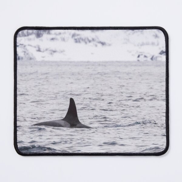 Item preview, Orca Whale designed and sold by LaurenTucker.