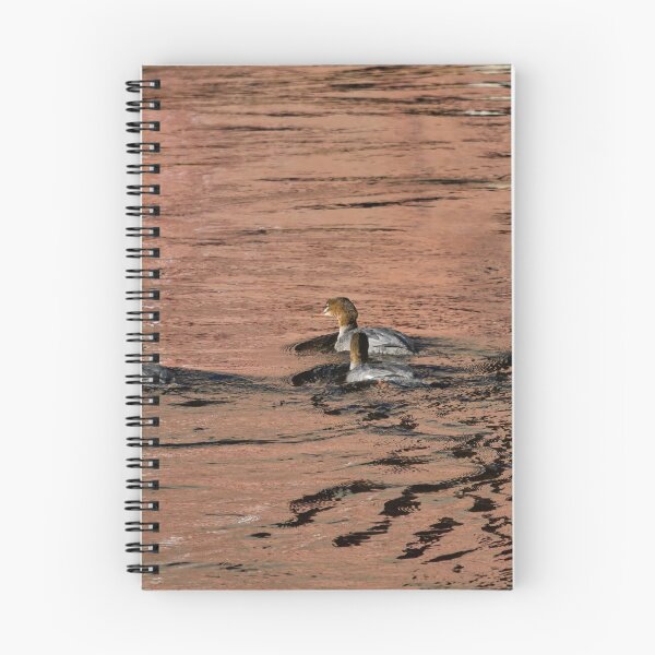 Item preview, On the red reflection. Goosander designed and sold by Jouko Lehto Photography.