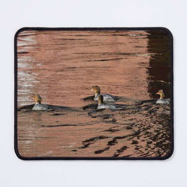 Item preview, On the red reflection. Goosander designed and sold by Jouko Lehto Photography.
