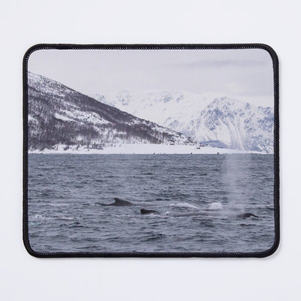 Item preview, Humpback Whale designed and sold by LaurenTucker.