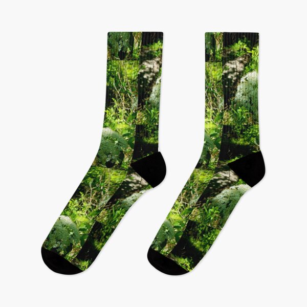 Item preview, Sunshine Along  An Overgrown Path designed and sold by GlimpseBeauty11.