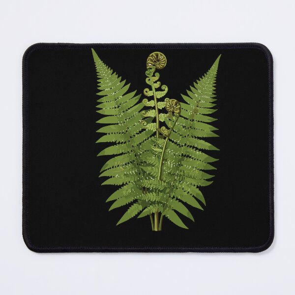 Item preview, Green Forest Ferns and Fiddlehead Fronds designed and sold by PopStars1993.