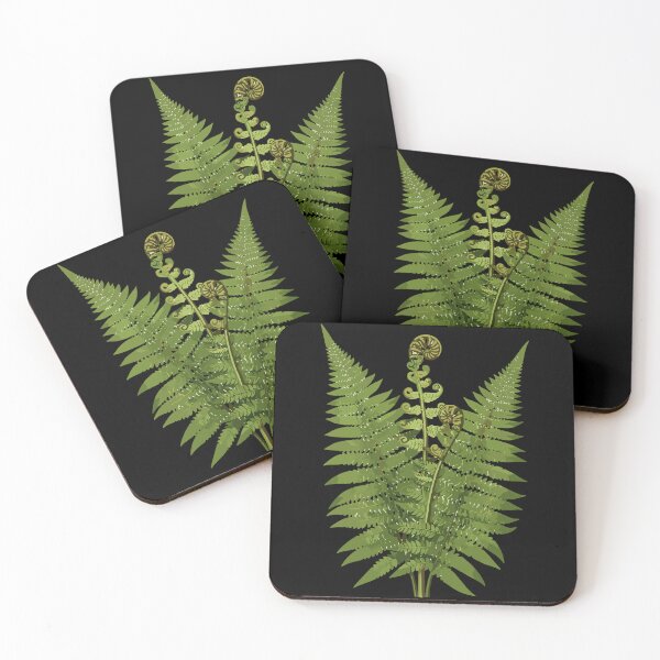 Item preview, Green Forest Ferns and Fiddlehead Fronds designed and sold by PopStars1993.