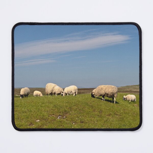 Item preview, Sheep Grazing on Islay designed and sold by Kasia Design.