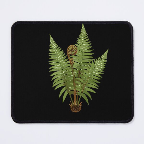 Item preview, Vibrant Green Fiddlehead Fern Botanical designed and sold by PopStars1993.