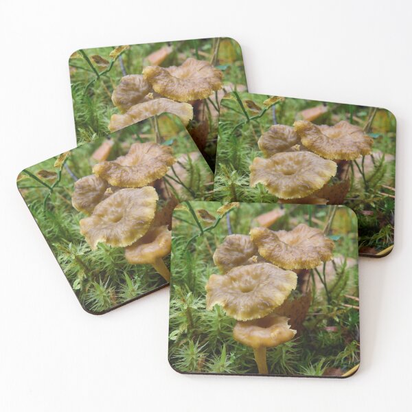 Item preview, The Found. Winter chanterelle designed and sold by Jouko Lehto Photography.