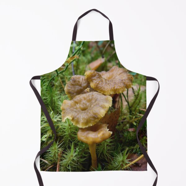 Item preview, The Found. Winter chanterelle designed and sold by Jouko Lehto Photography.
