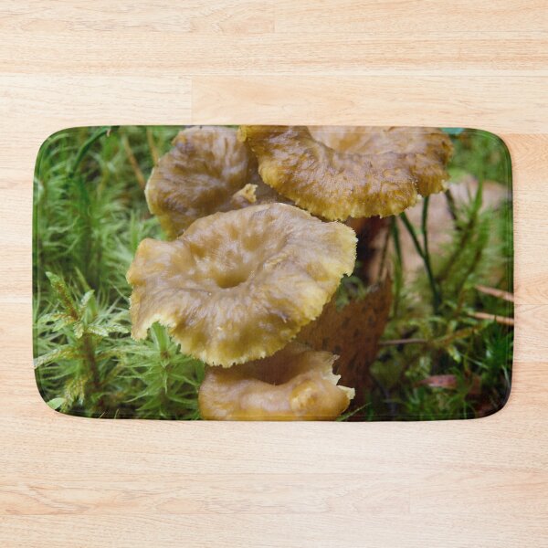 Item preview, The Found. Winter chanterelle designed and sold by Jouko Lehto Photography.