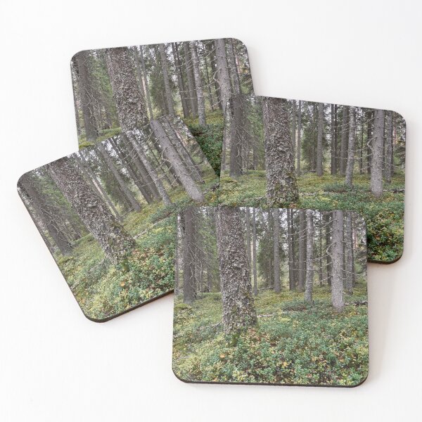 Item preview, Haukkajarvi forest in fall designed and sold by Jouko Lehto Photography.