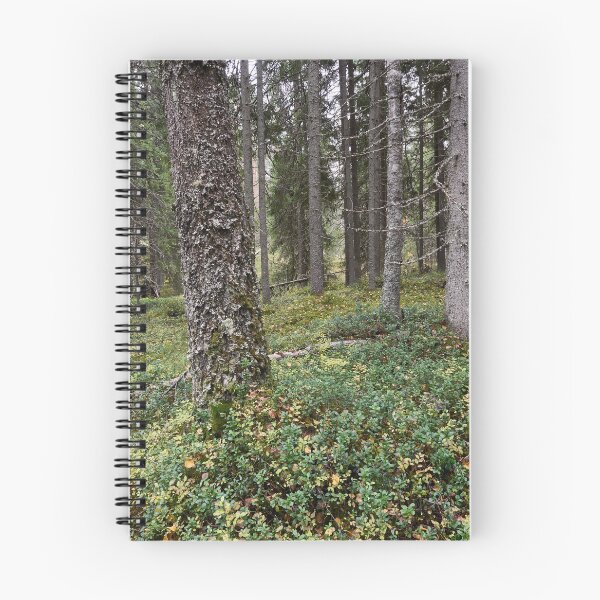 Artikelvorschau, Haukkajarvi-Wald im Herbst entworfen und verkauft von Jouko Lehto Photography.
