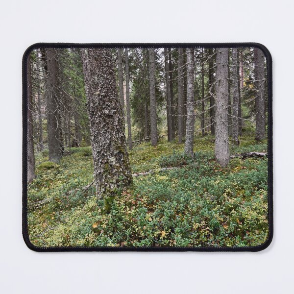 Item preview, Haukkajarvi forest in fall designed and sold by Jouko Lehto Photography.
