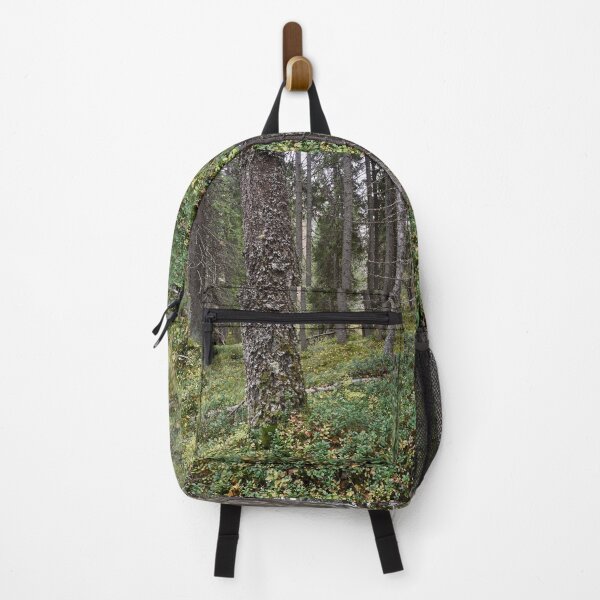 Item preview, Haukkajarvi forest in fall designed and sold by Jouko Lehto Photography.