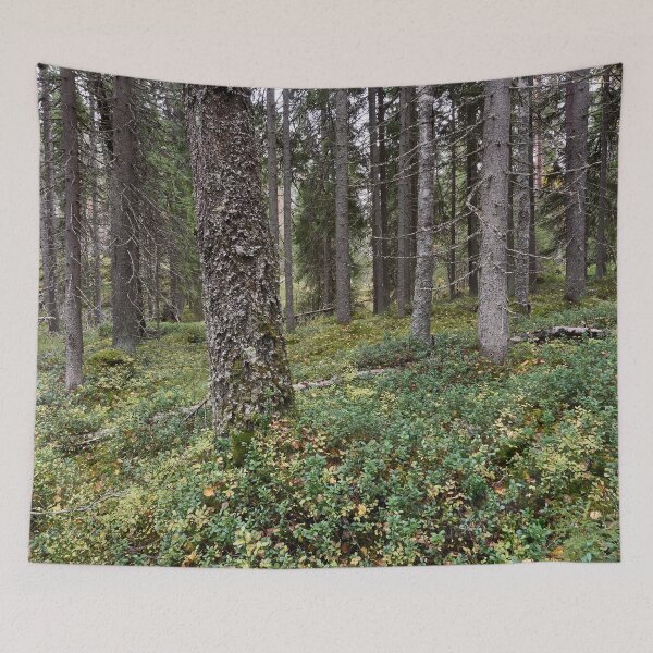 Item preview, Haukkajarvi forest in fall designed and sold by Jouko Lehto Photography.