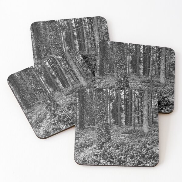 Item preview, Haukkajarvi forest in fall bw bw designed and sold by Jouko Lehto Photography.