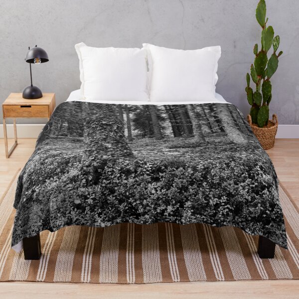 Item preview, Haukkajarvi forest in fall bw bw designed and sold by Jouko Lehto Photography.