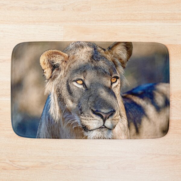 Item preview, Khwai Young Lion In Golden Dappled Light designed and sold by DavideAntoniani.