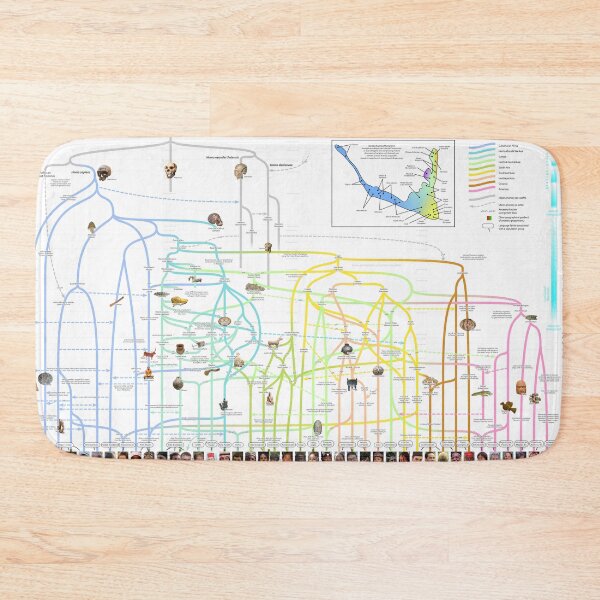 Item preview, The genealogy of humankind designed and sold by Concavenator.