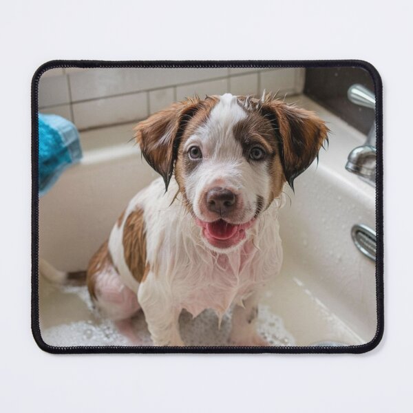 Item preview, Soapy Puppy Dog in a Sink designed and sold by Kwandry.