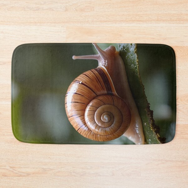 Item preview, Snail on a green leaf (detail) designed and sold by Mianku | Für das Leben.