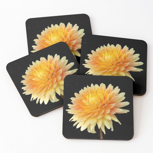 Artikelvorschau, Sunburst Dahlia entworfen und verkauft von VtFotog2025.
