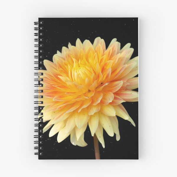Item preview, Dahlia Sunburst designed and sold by VtFotog2025.