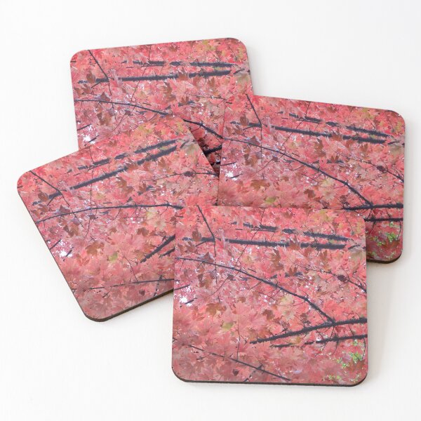 Item preview, Oregon Fall designed and sold by Maxiverse.